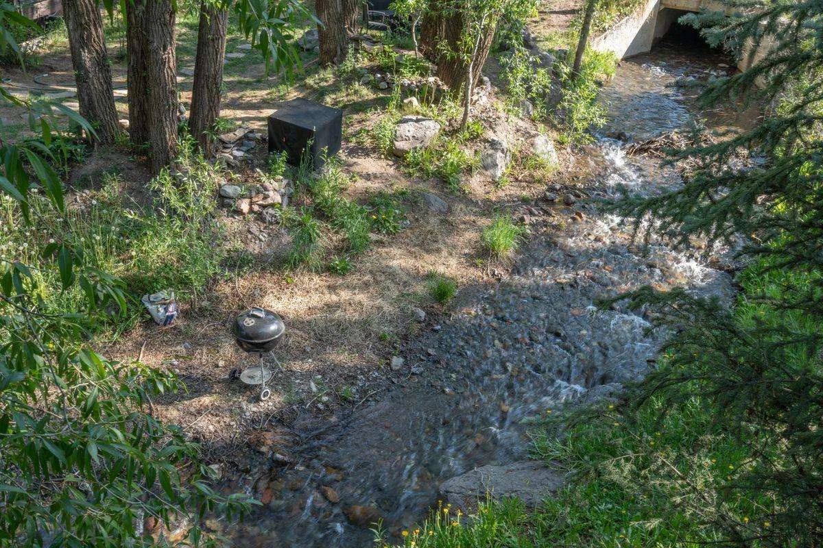 An inviting creekside setting with a barbecue grill placed among tall trees, showcasing picnic and leisure opportunities. The scene hints at sunset, with soft natural light enhancing the tranquil yet playful atmosphere, ideal for family outings in nature.