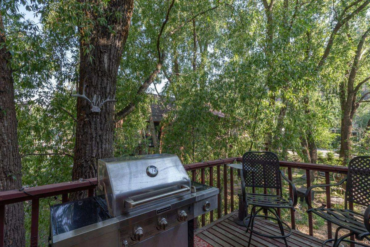 An exterior shot of a wooden deck surrounded by trees, equipped with a grill and outdoor seating. The atmosphere is casual, relaxed, and immersed in nature, ideal for unwinding or socializing outdoors above Cornet Creek.