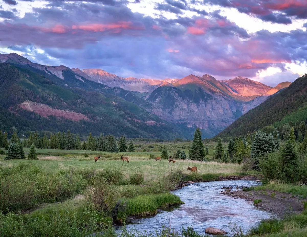 An expansive exterior view capturing a mountain backdrop, a flowing stream bordered by trees, and a pair of deer grazing nearby. The scene is serene and lush, hinting at hiking trails and opportunities for wildlife watching, picnicking, and enjoying the tranquility of nature.